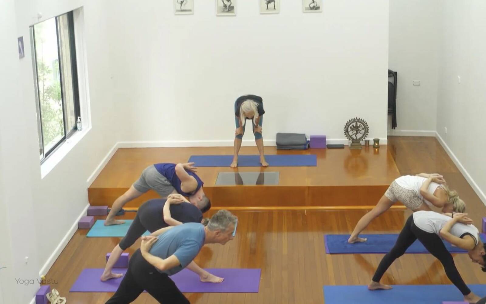 Online Iyengar yoga videos | Comprehensive Standing Pose Class with Inversions