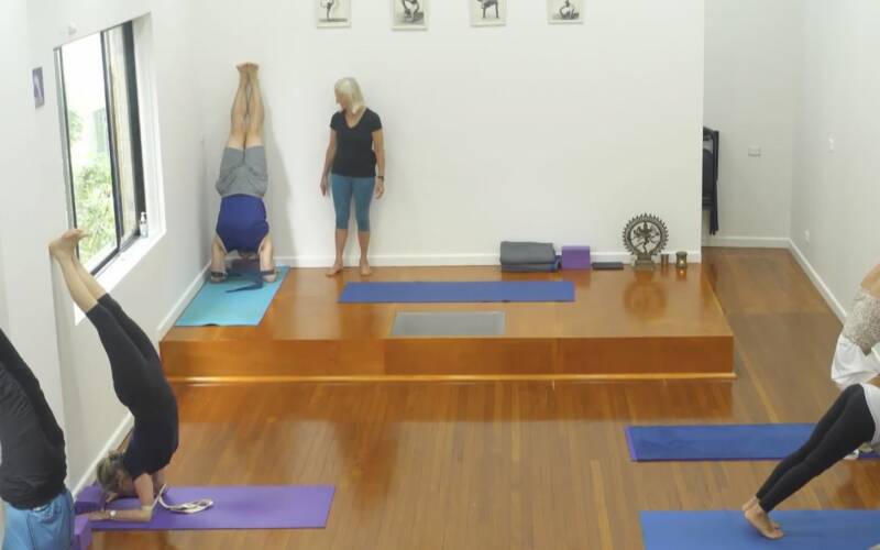 Iyengar Yoga videos for every level, for every need | Yoga Vastu