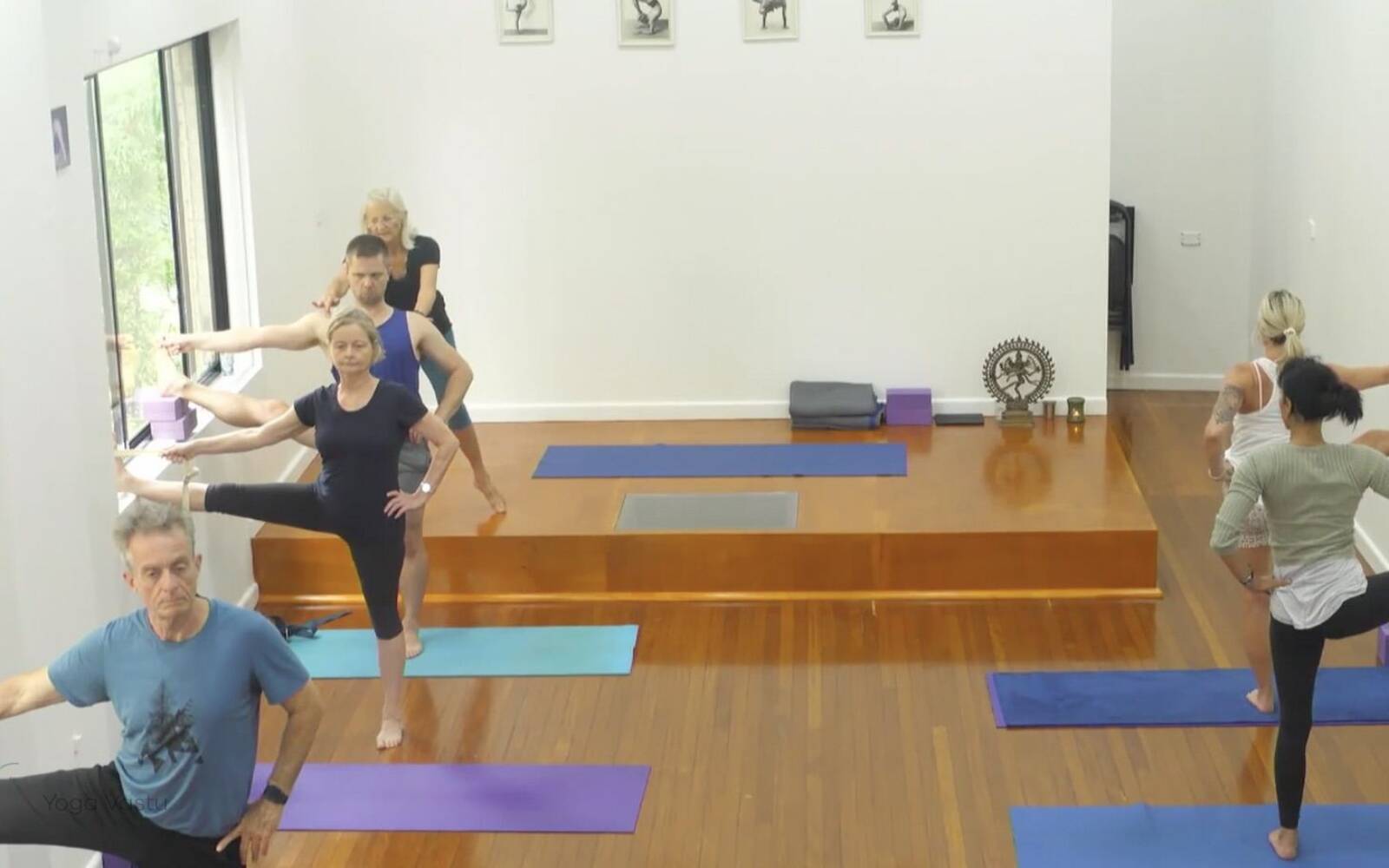 Online Iyengar yoga videos | Comprehensive Standing Pose Class with Inversions
