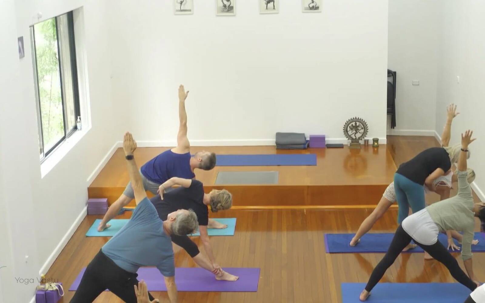 Online Iyengar yoga videos | Comprehensive Standing Pose Class with Inversions