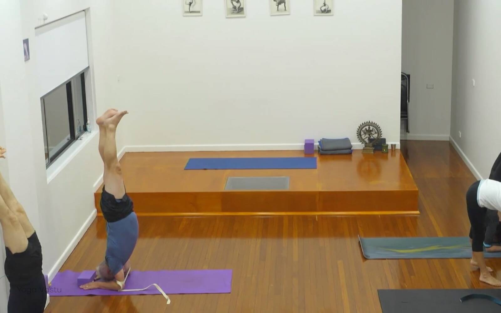 Online Iyengar yoga videos | Combining Inversions with Standing and Seated Poses