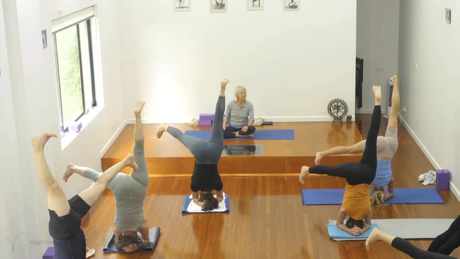 Hip Opening and Back Release Sequence