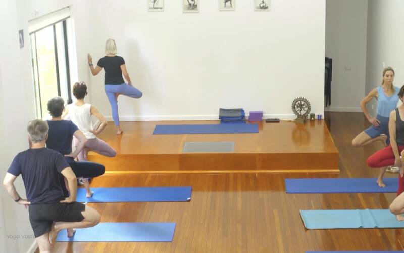 Online Iyengar yoga video thumbnail: In-Depth Look at Basic Standing Poses