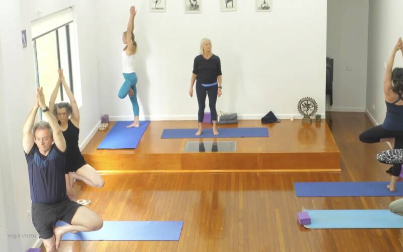 Iyengar Yoga videos for every level, for every need | Yoga Vastu