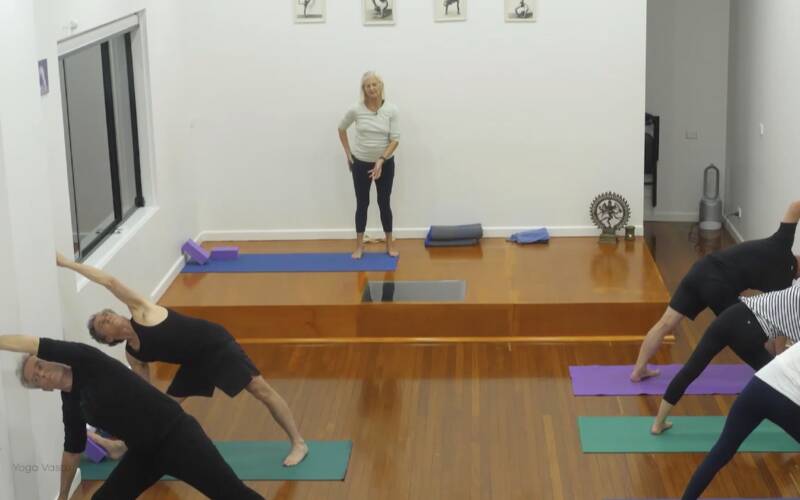 Iyengar Yoga videos for every level, for every need | Yoga Vastu