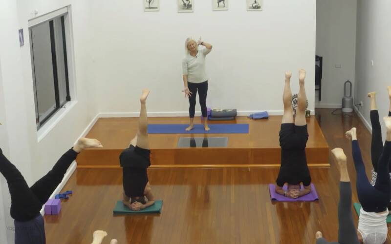 Iyengar Yoga videos for every level, for every need | Yoga Vastu