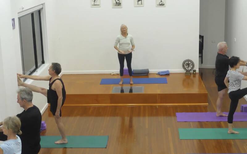 Iyengar Yoga videos for every level, for every need | Yoga Vastu