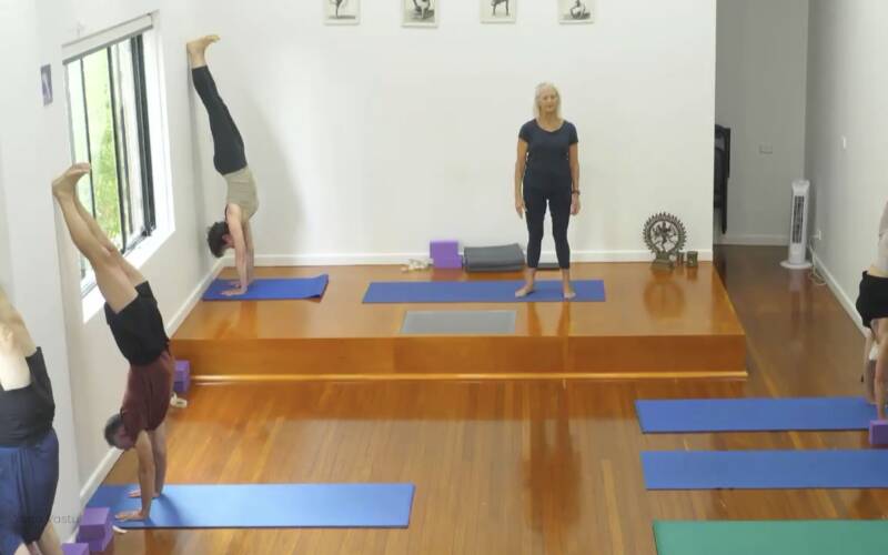 Iyengar Yoga videos for every level, for every need | Yoga Vastu
