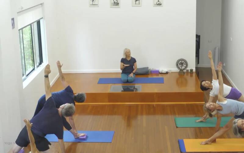 Iyengar Yoga videos for every level, for every need | Yoga Vastu