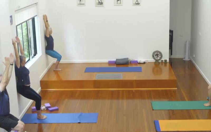 Iyengar Yoga videos for every level, for every need | Yoga Vastu