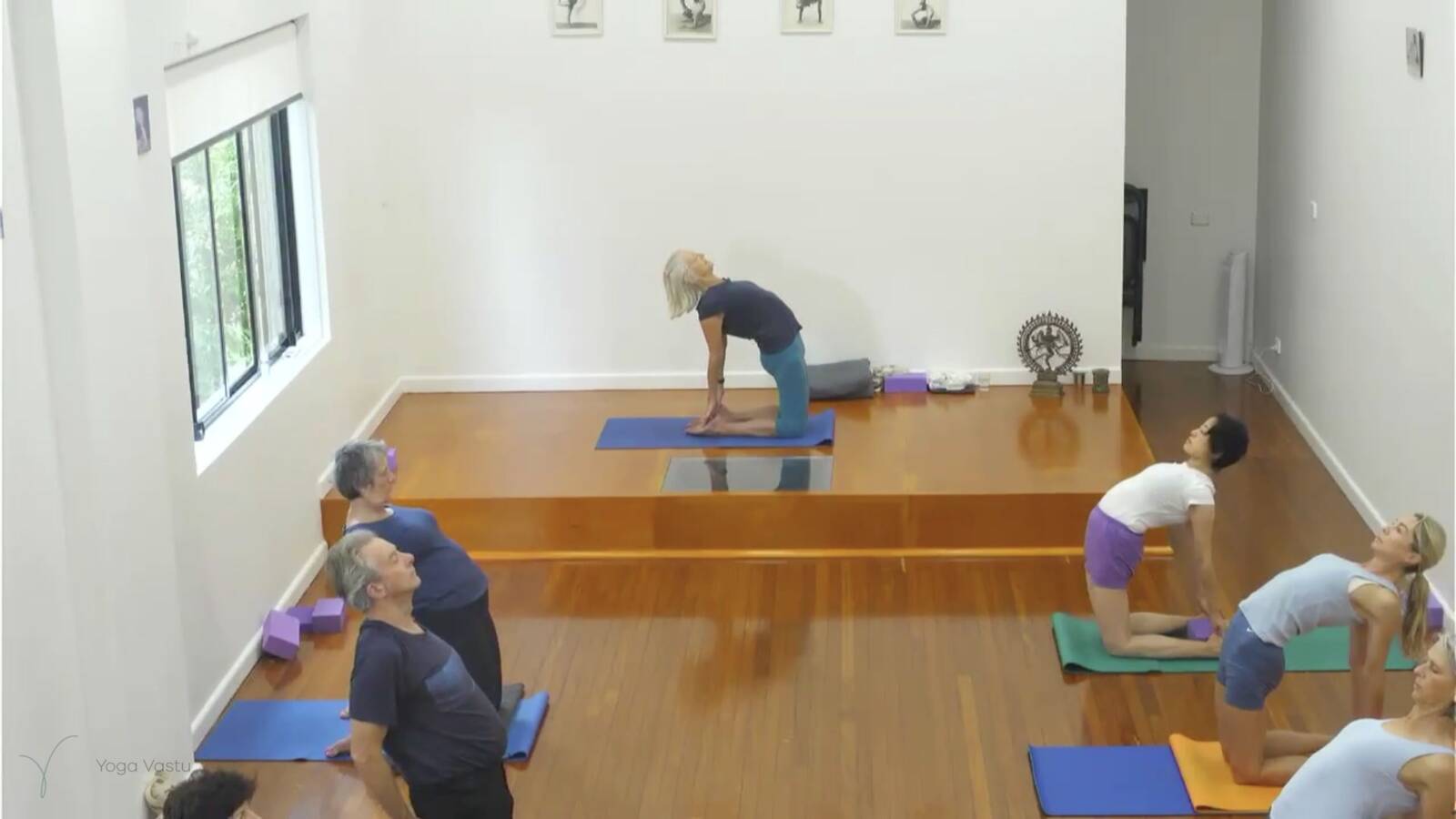 The Actions of Hips and Arms in Backbends