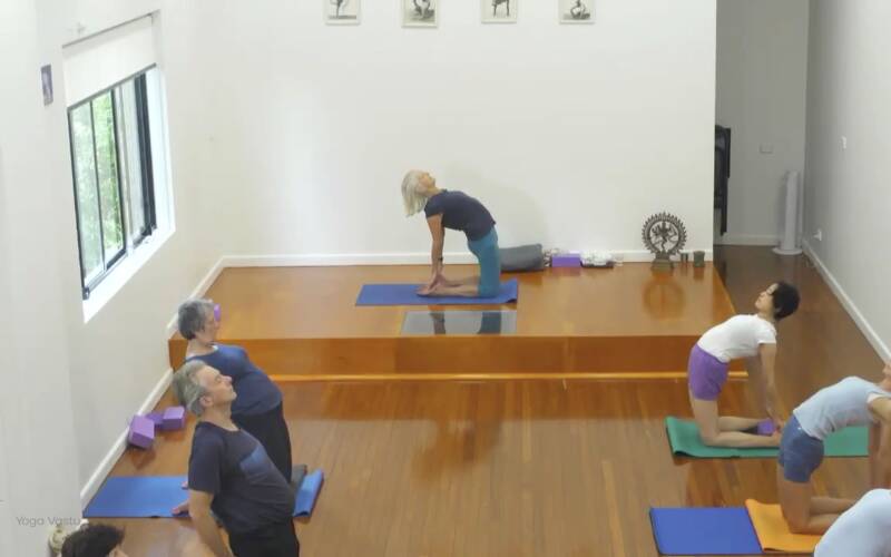 Online Iyengar yoga video thumbnail: The Actions of Hips and Arms in Backbends
