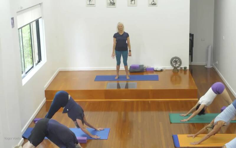Iyengar Yoga videos for every level, for every need | Yoga Vastu