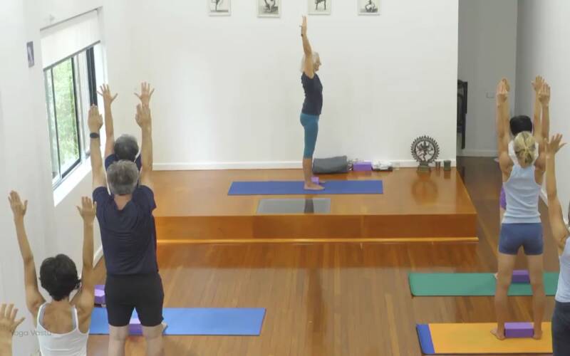 Iyengar Yoga videos for every level, for every need | Yoga Vastu