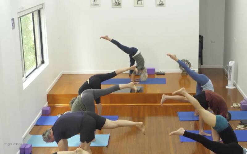 Iyengar Yoga videos for every level, for every need | Yoga Vastu