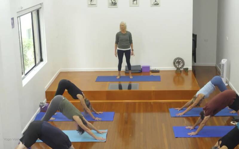 Iyengar Yoga videos for every level, for every need | Yoga Vastu