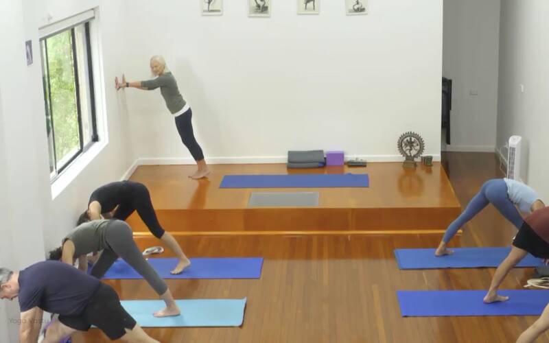 Iyengar Yoga videos for every level, for every need | Yoga Vastu