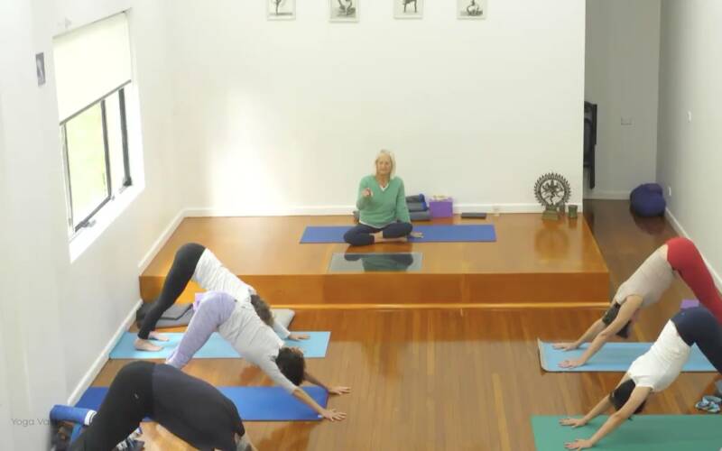 Iyengar Yoga videos for every level, for every need | Yoga Vastu