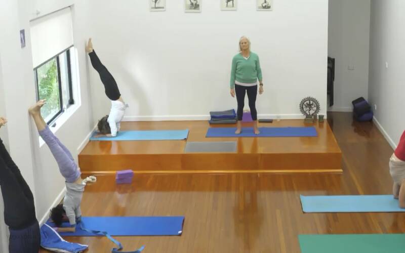 Iyengar Yoga videos for every level, for every need | Yoga Vastu