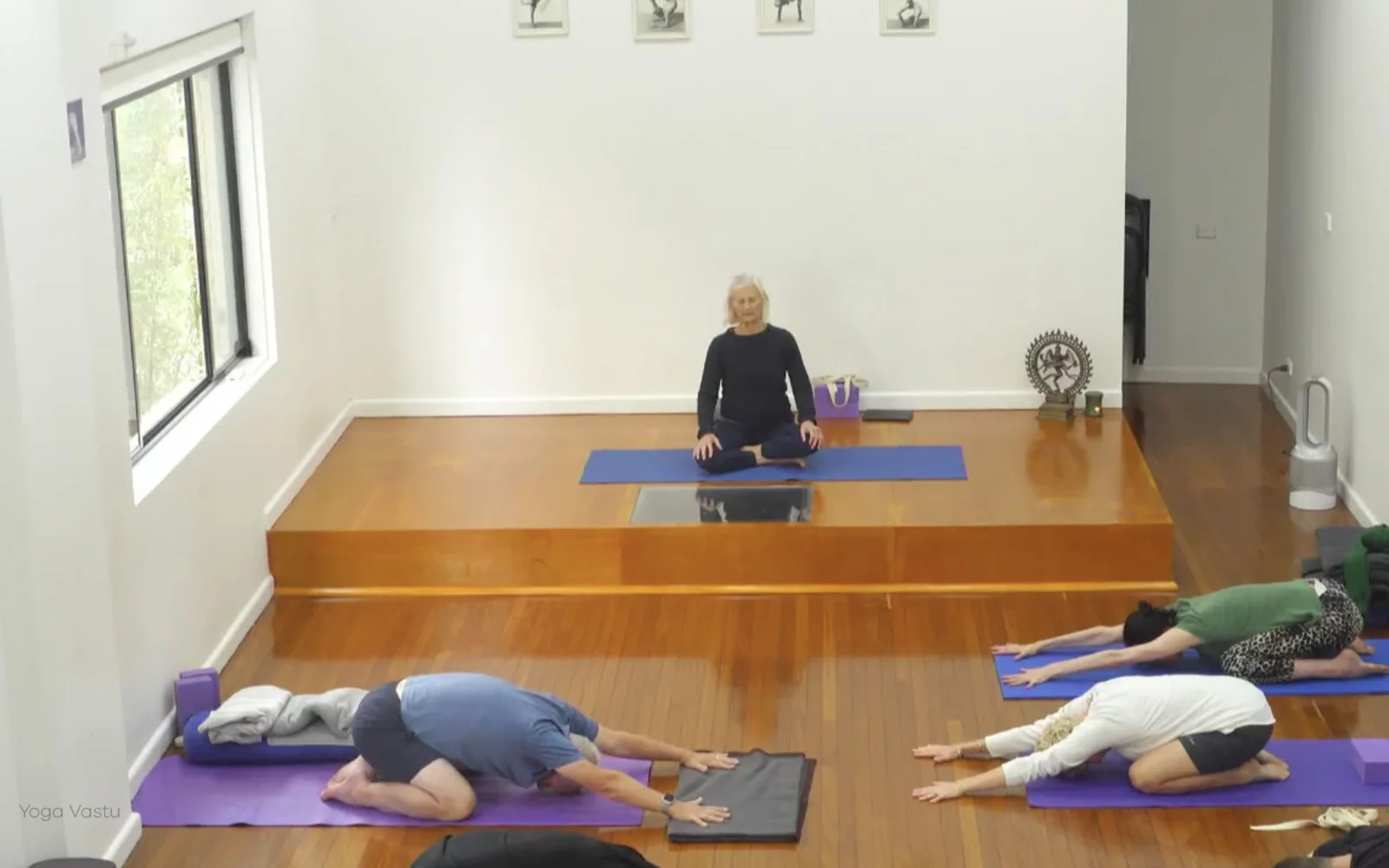 Online Iyengar yoga videos | Class 1: Observing the Pose (Backbends)