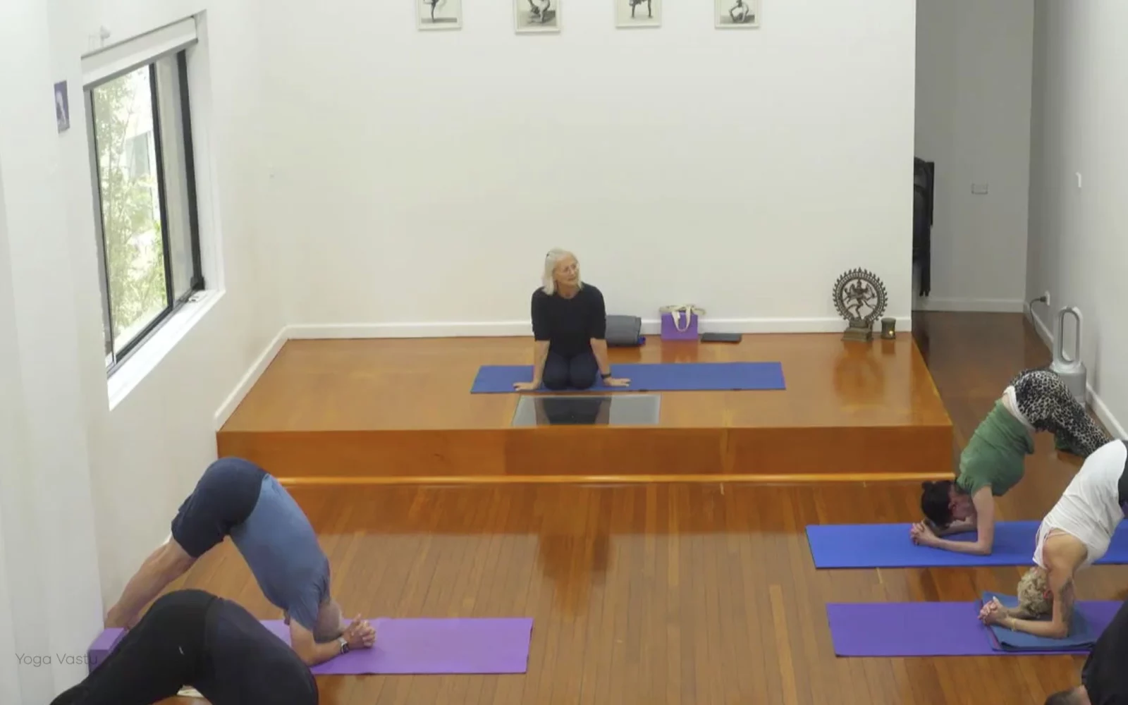 Online Iyengar yoga videos | Class 1: Observing the Pose (Backbends)