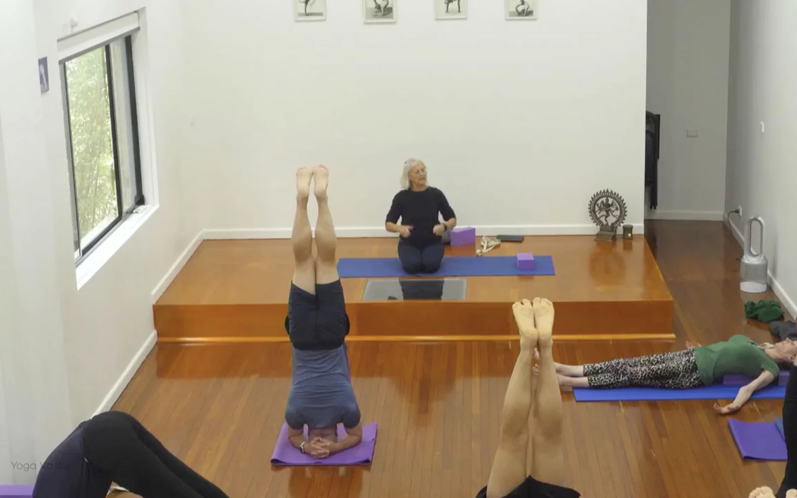 Online Iyengar yoga videos | Class 1: Observing the Pose (Backbends)