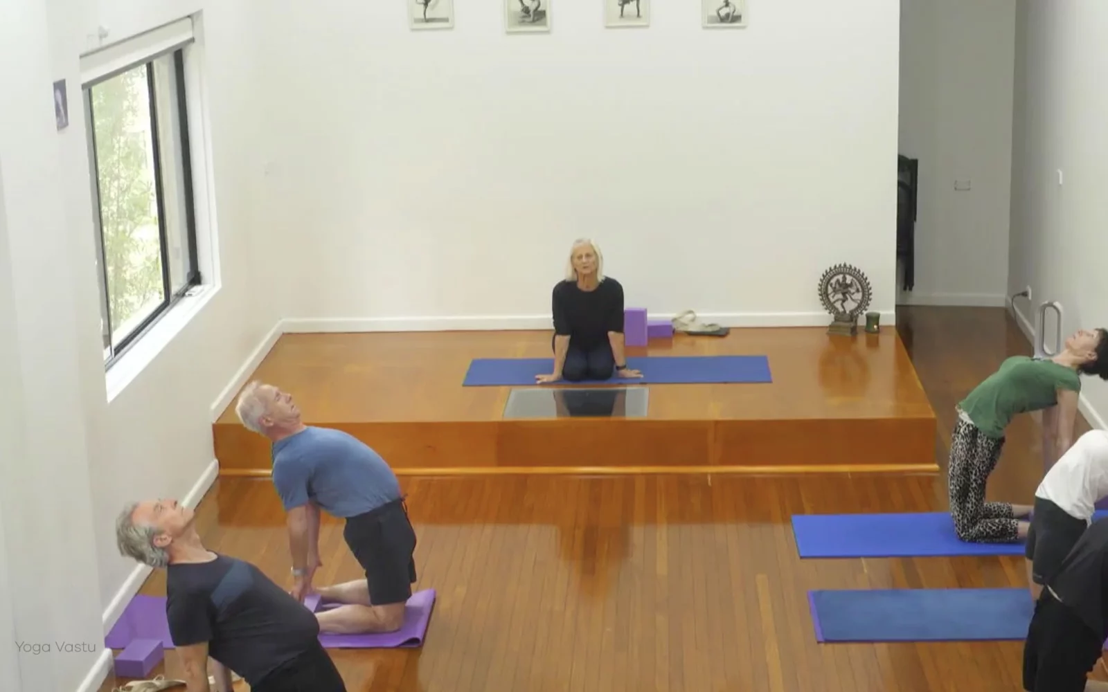 Online Iyengar yoga videos | Class 1: Observing the Pose (Backbends)