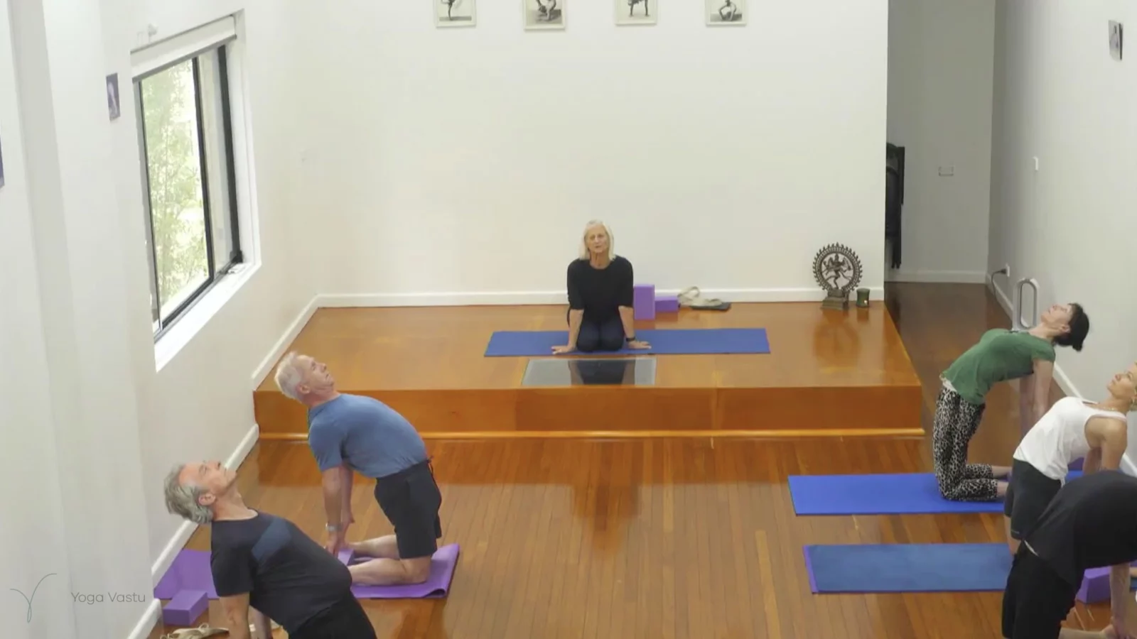 Class 1: Observing the Pose (Backbends)