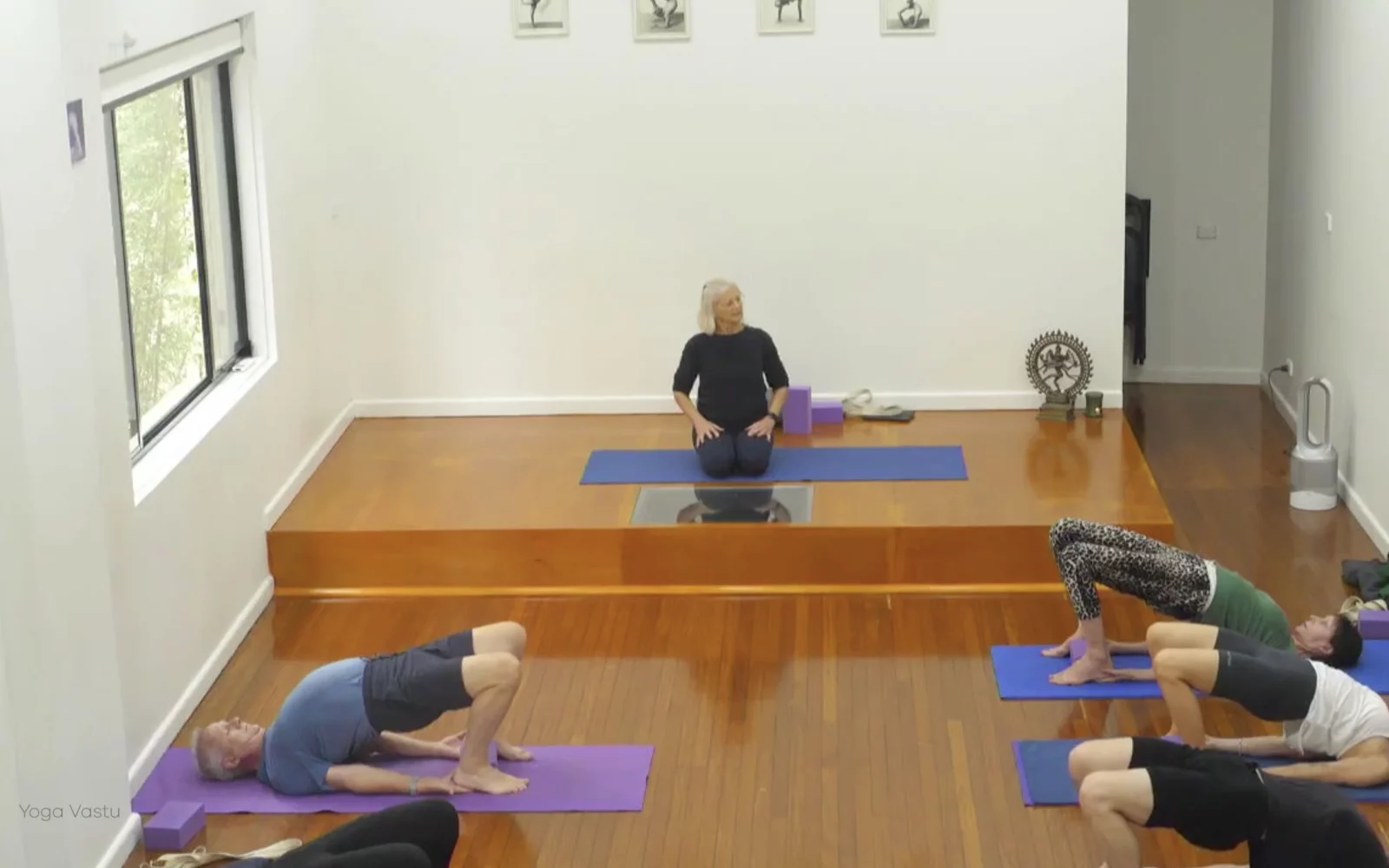 Online Iyengar yoga videos | Class 1: Observing the Pose (Backbends)