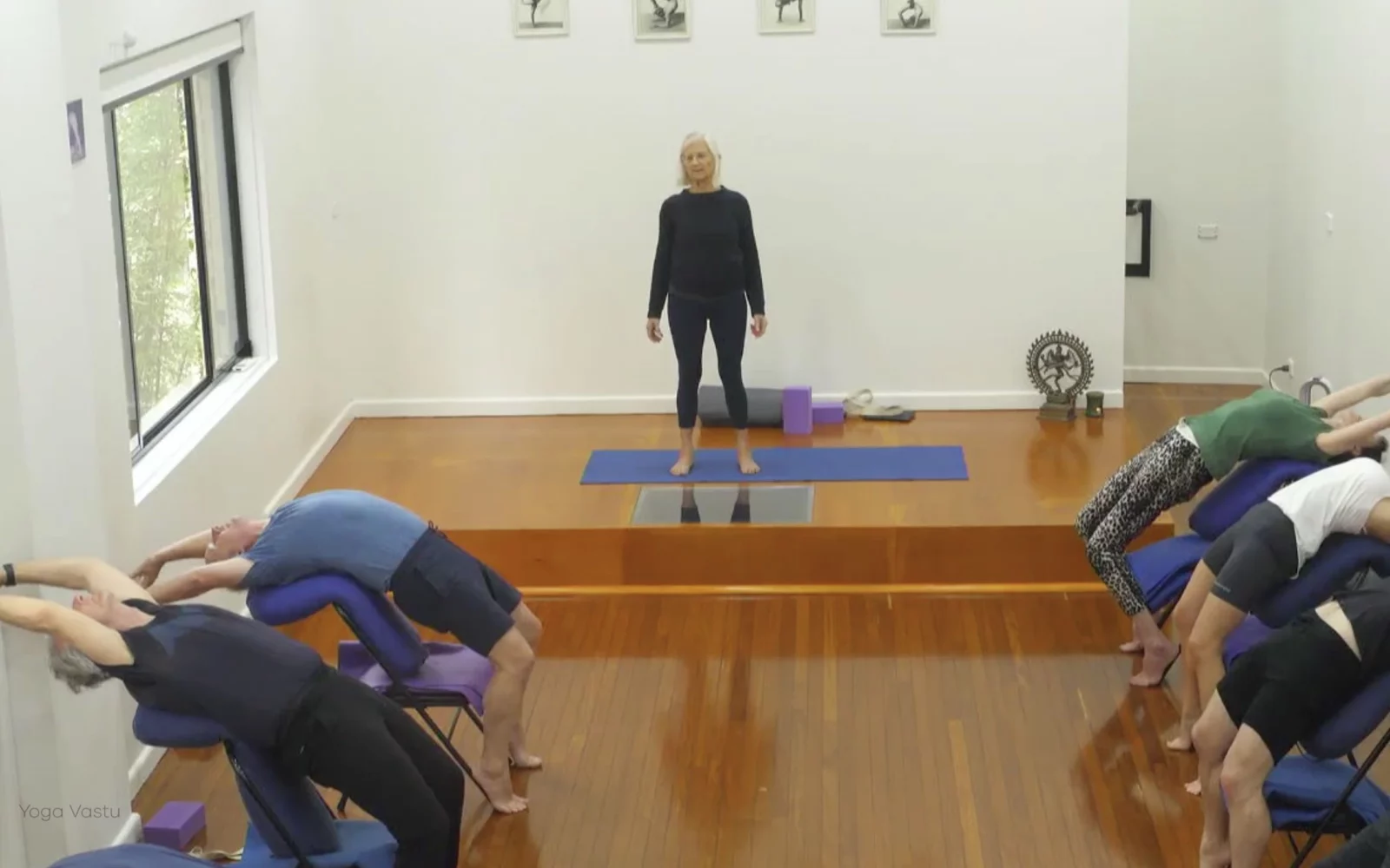 Online Iyengar yoga videos | Class 1: Observing the Pose (Backbends)