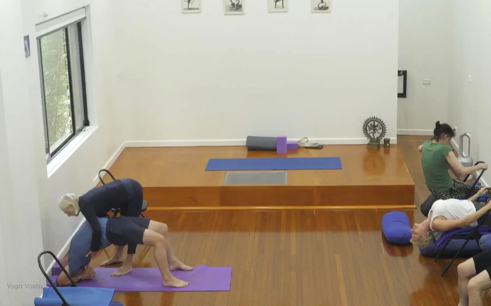 Online Iyengar yoga videos | Class 1: Observing the Pose (Backbends)