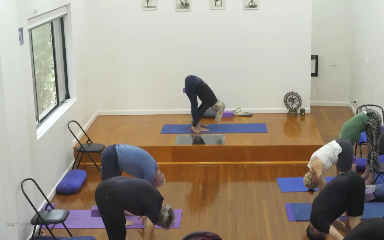 Online Iyengar yoga videos | Class 1: Observing the Pose (Backbends)