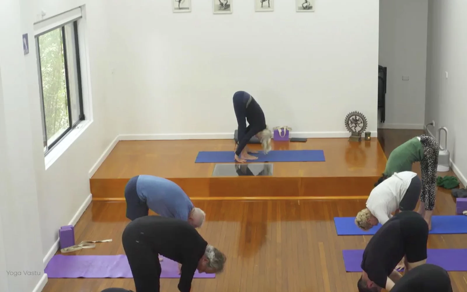 Online Iyengar yoga videos | Class 1: Observing the Pose (Backbends)