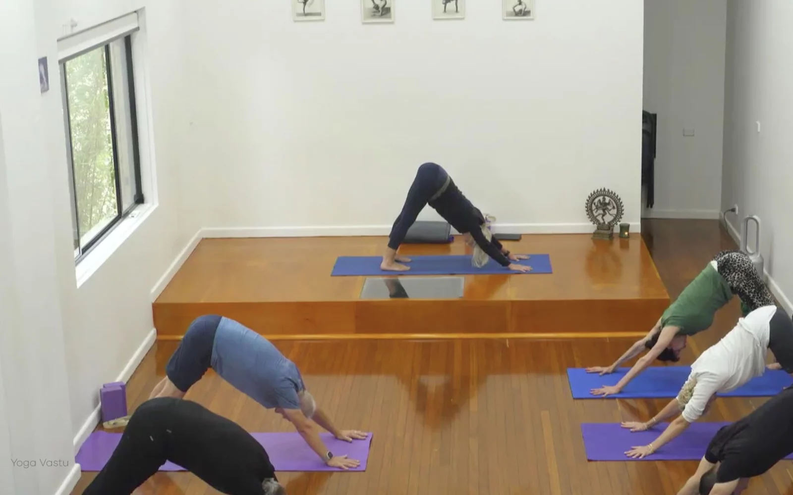 Online Iyengar yoga videos | Class 1: Observing the Pose (Backbends)