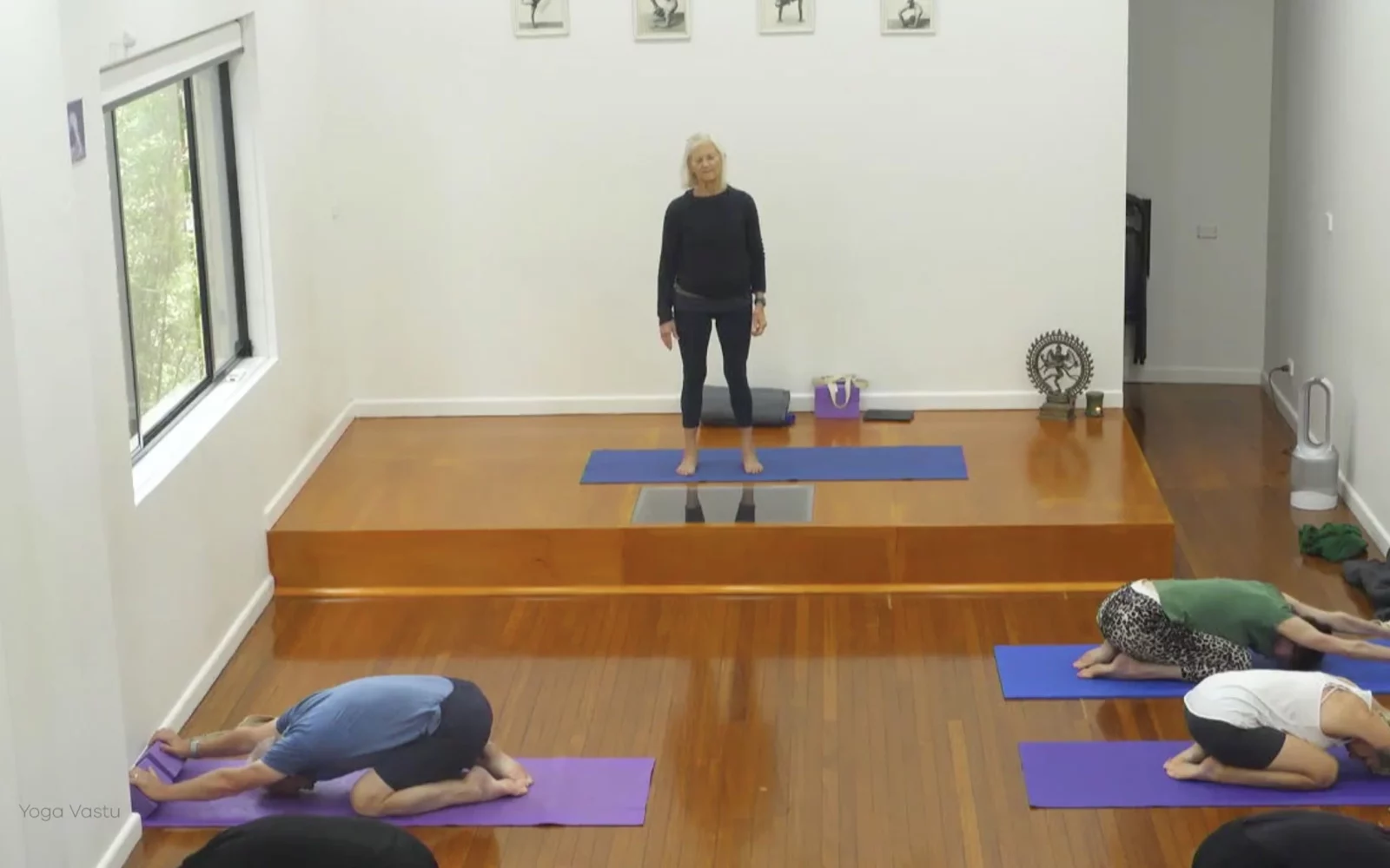 Online Iyengar yoga videos | Class 1: Observing the Pose (Backbends)