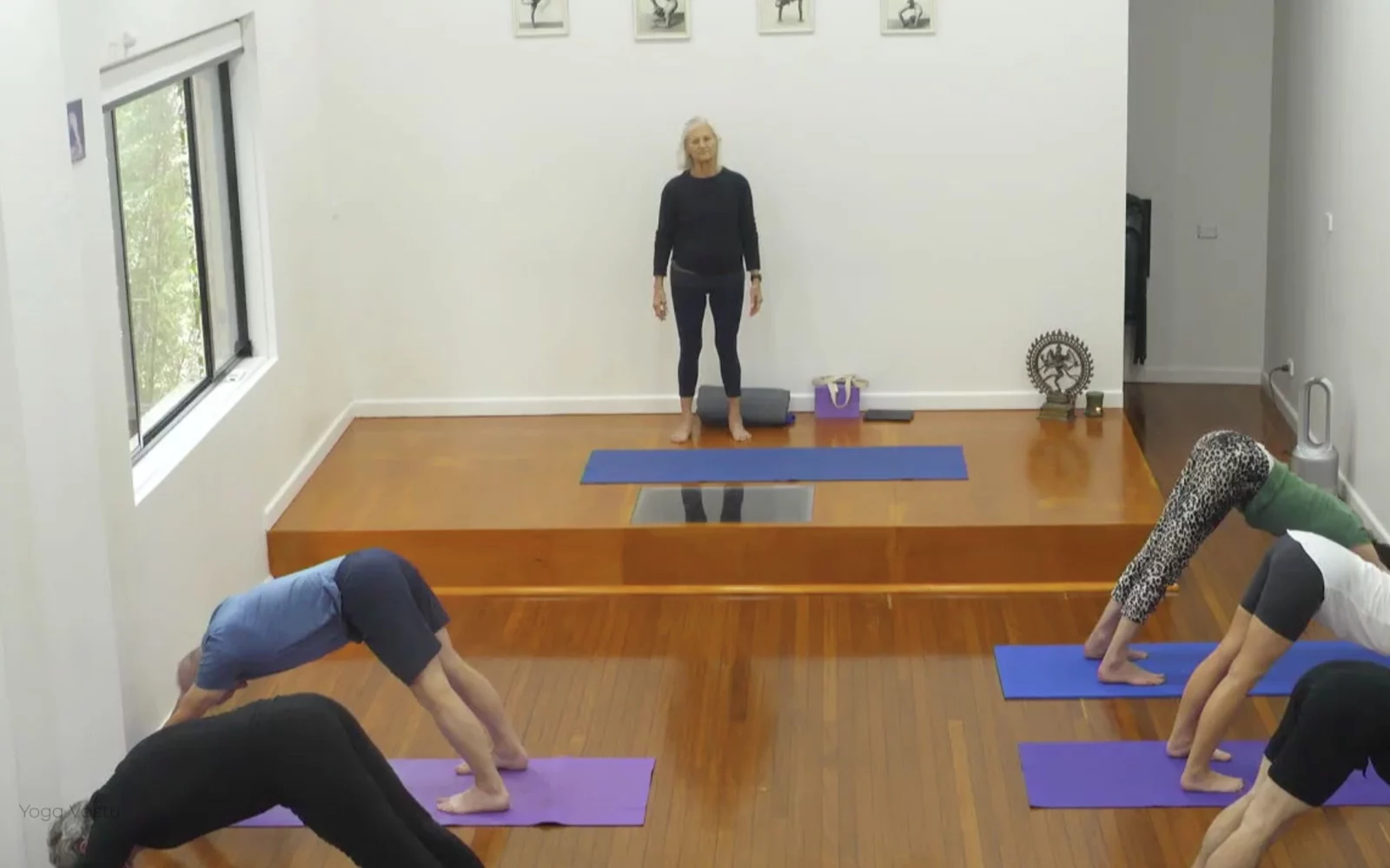 Online Iyengar yoga videos | Class 1: Observing the Pose (Backbends)