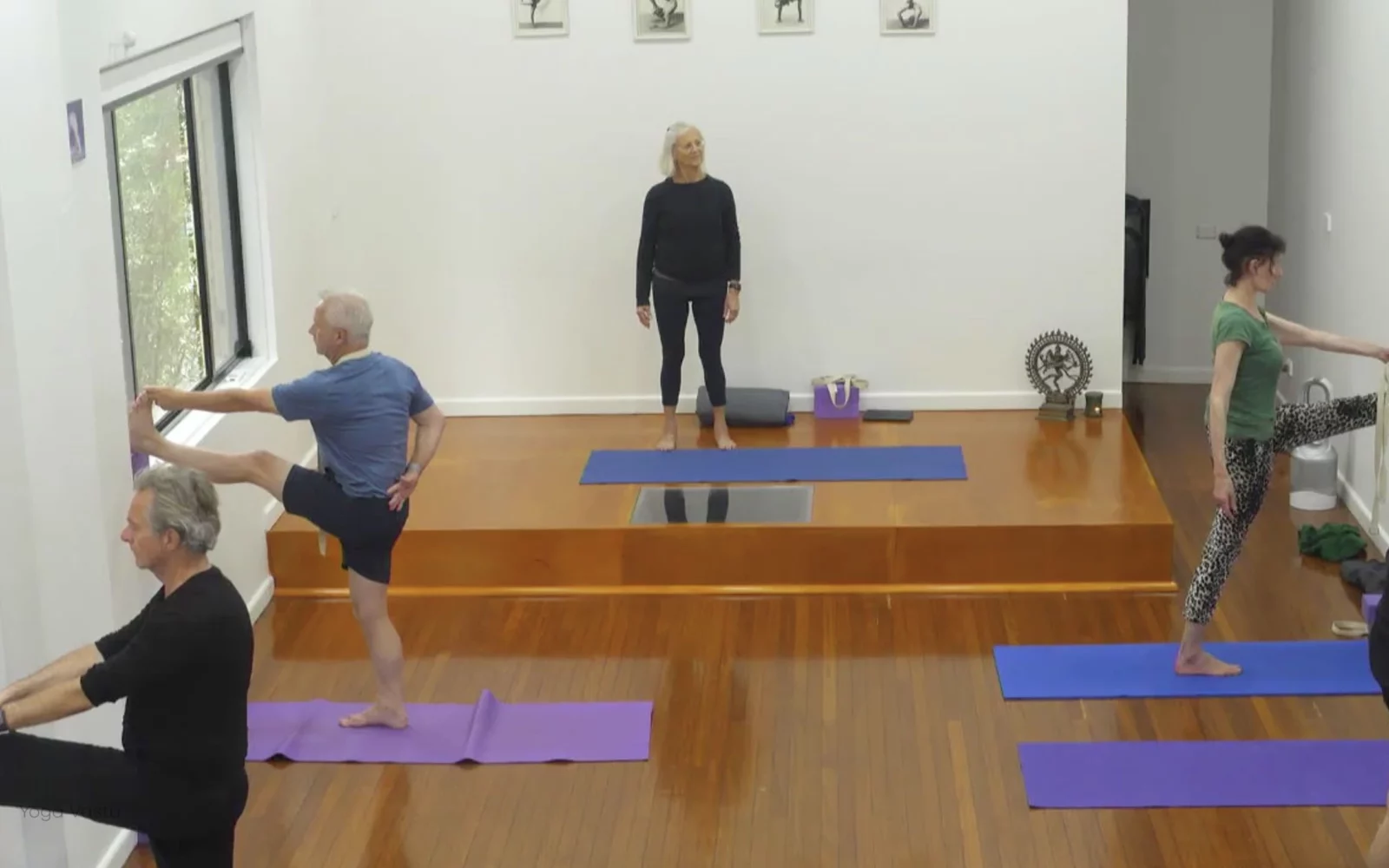 Online Iyengar yoga videos | Class 1: Observing the Pose (Backbends)