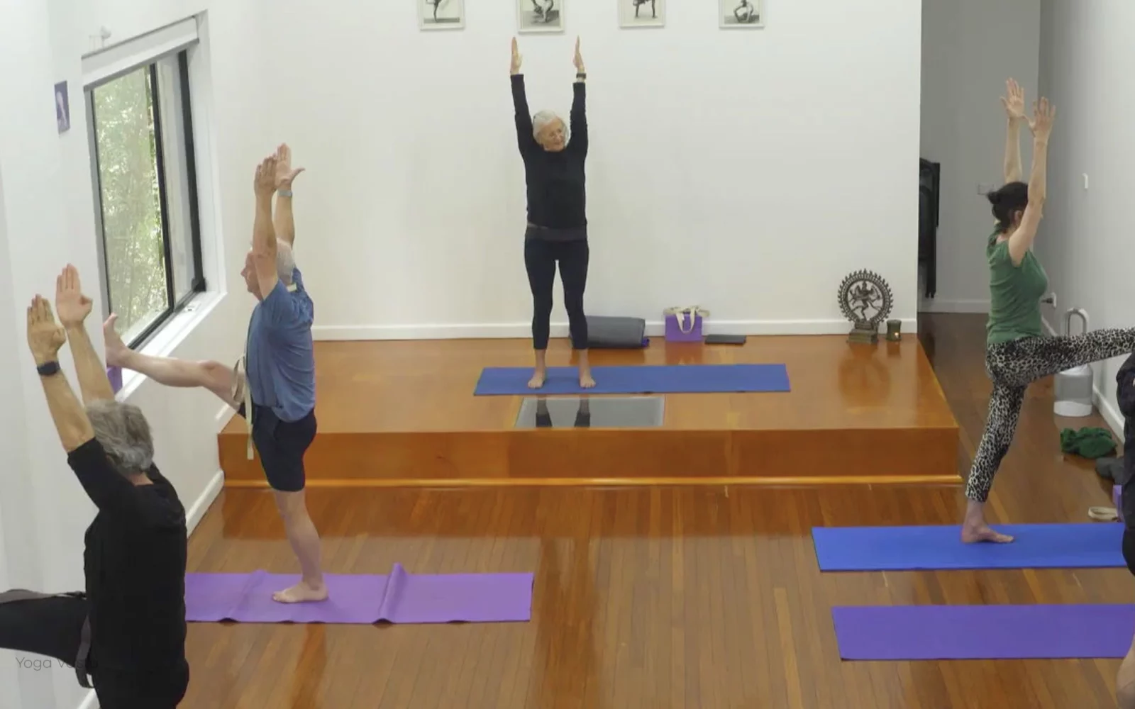 Online Iyengar yoga videos | Class 1: Observing the Pose (Backbends)