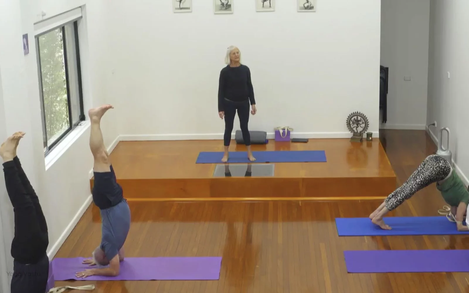 Online Iyengar yoga videos | Class 1: Observing the Pose (Backbends)