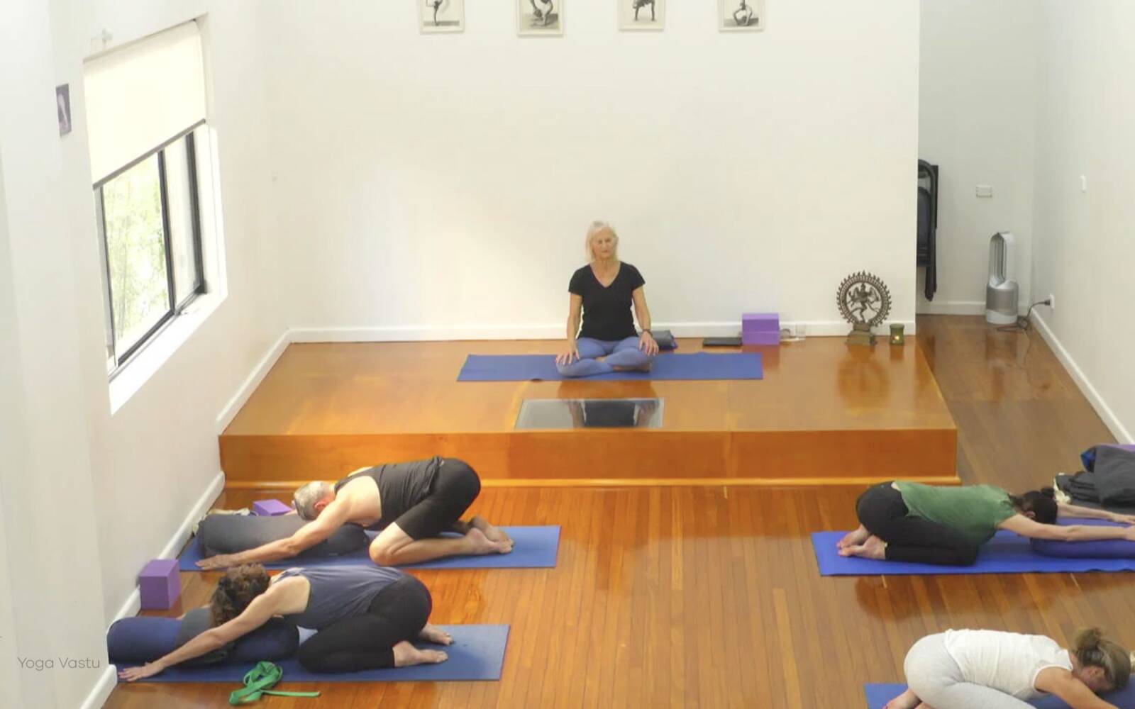 Online Iyengar yoga videos | Class 2: Developing Softness in Our Practice
