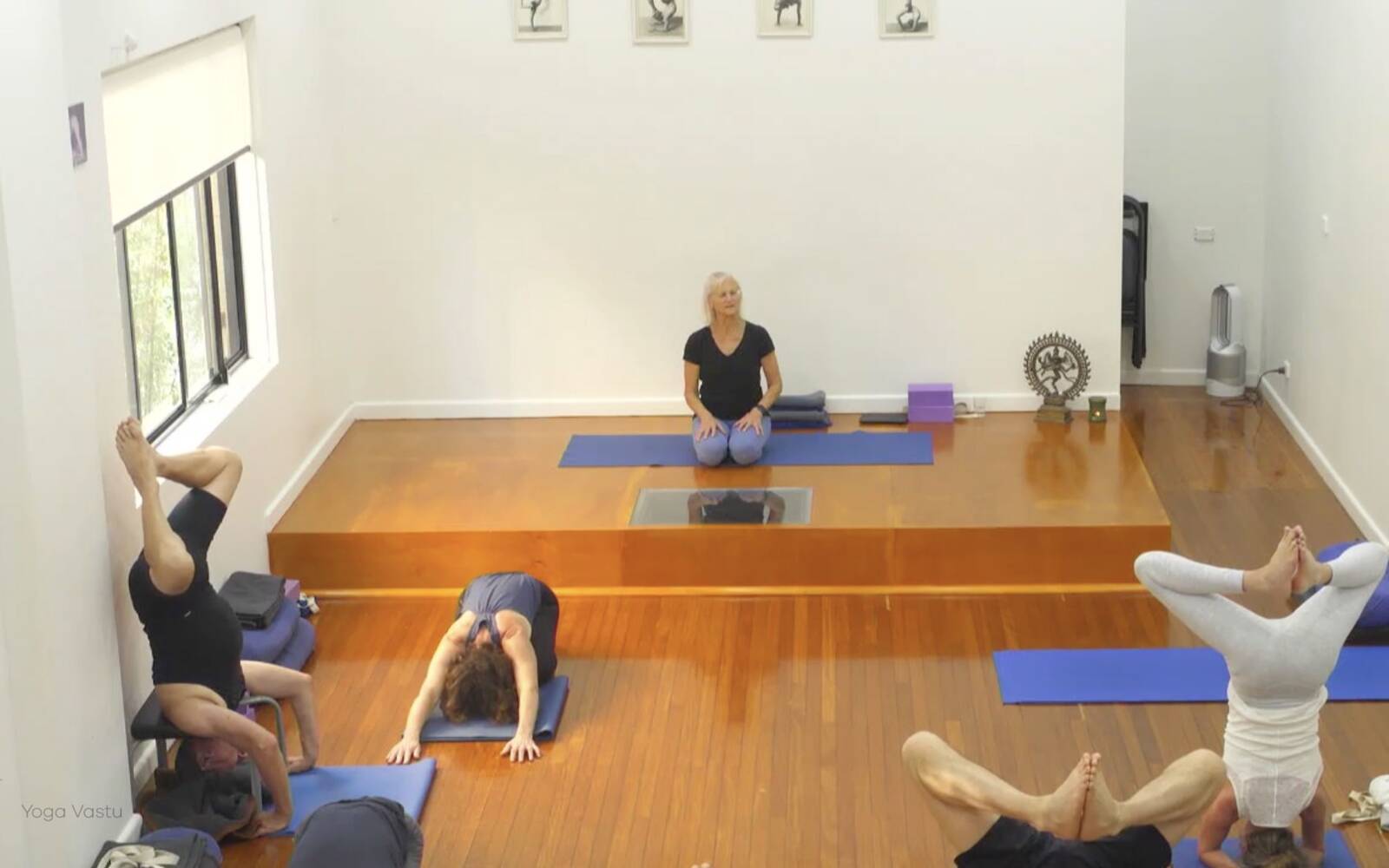 Online Iyengar yoga videos | Class 2: Developing Softness in Our Practice