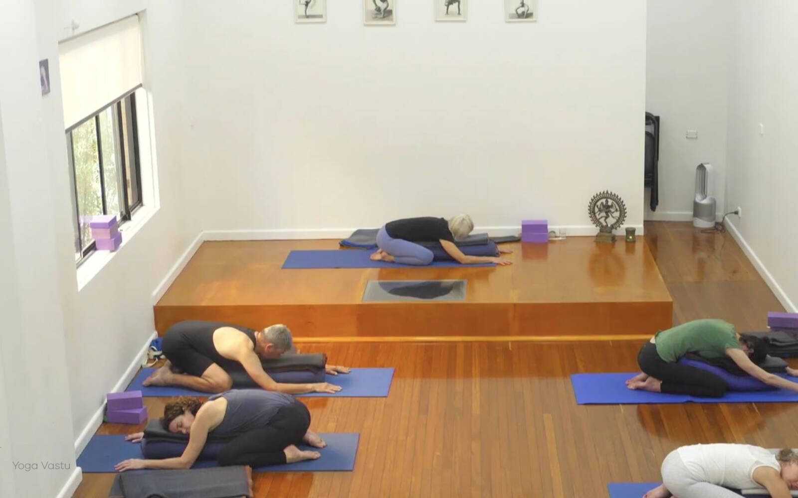 Online Iyengar yoga videos | Class 2: Developing Softness in Our Practice