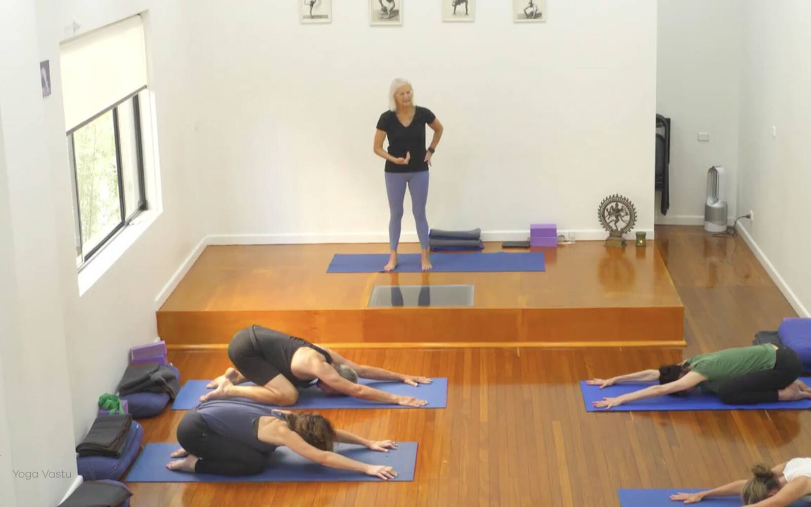 Online Iyengar yoga videos | Class 2: Developing Softness in Our Practice