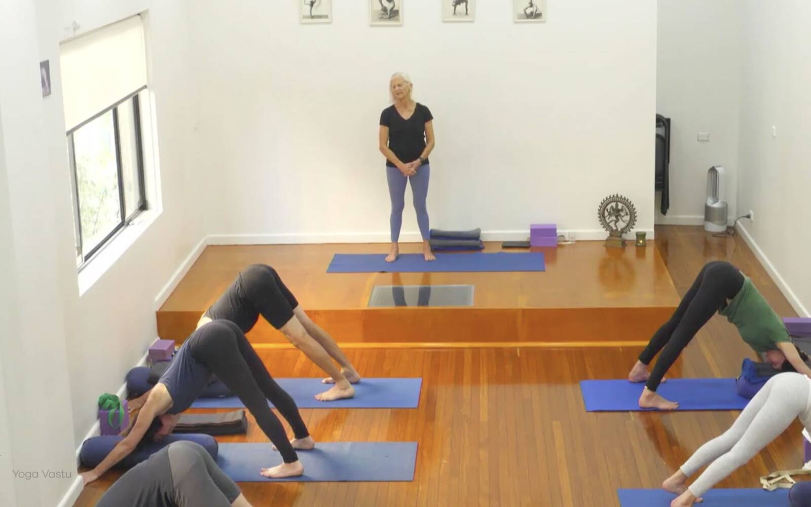 Online Iyengar yoga videos | Class 2: Developing Softness in Our Practice