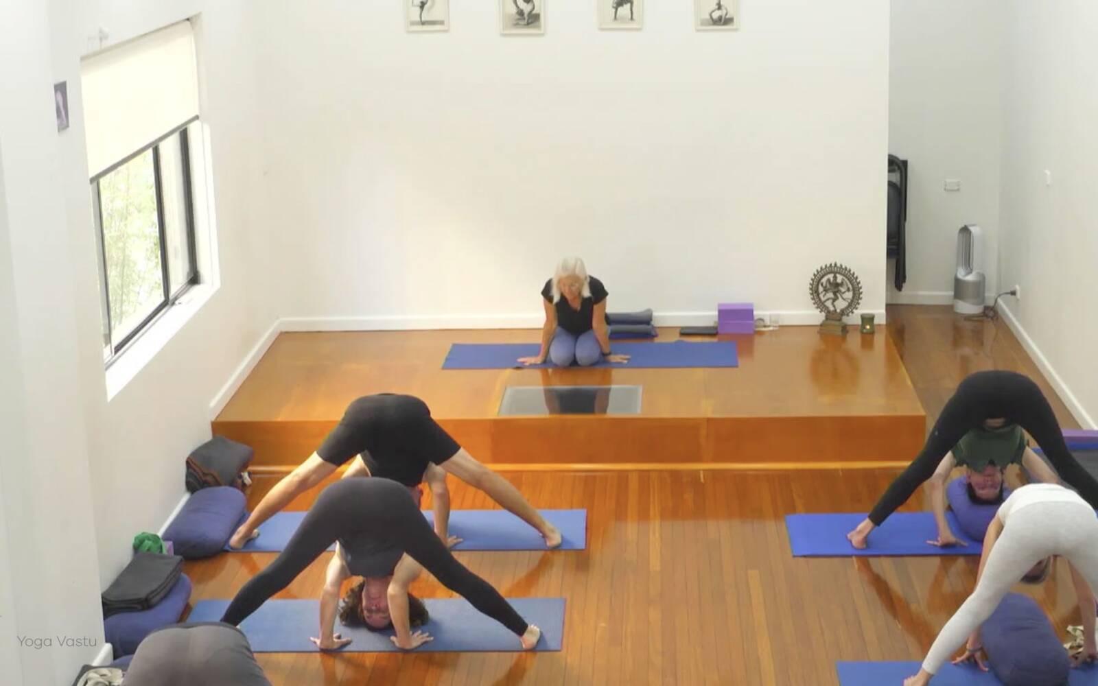 Online Iyengar yoga videos | Class 2: Developing Softness in Our Practice
