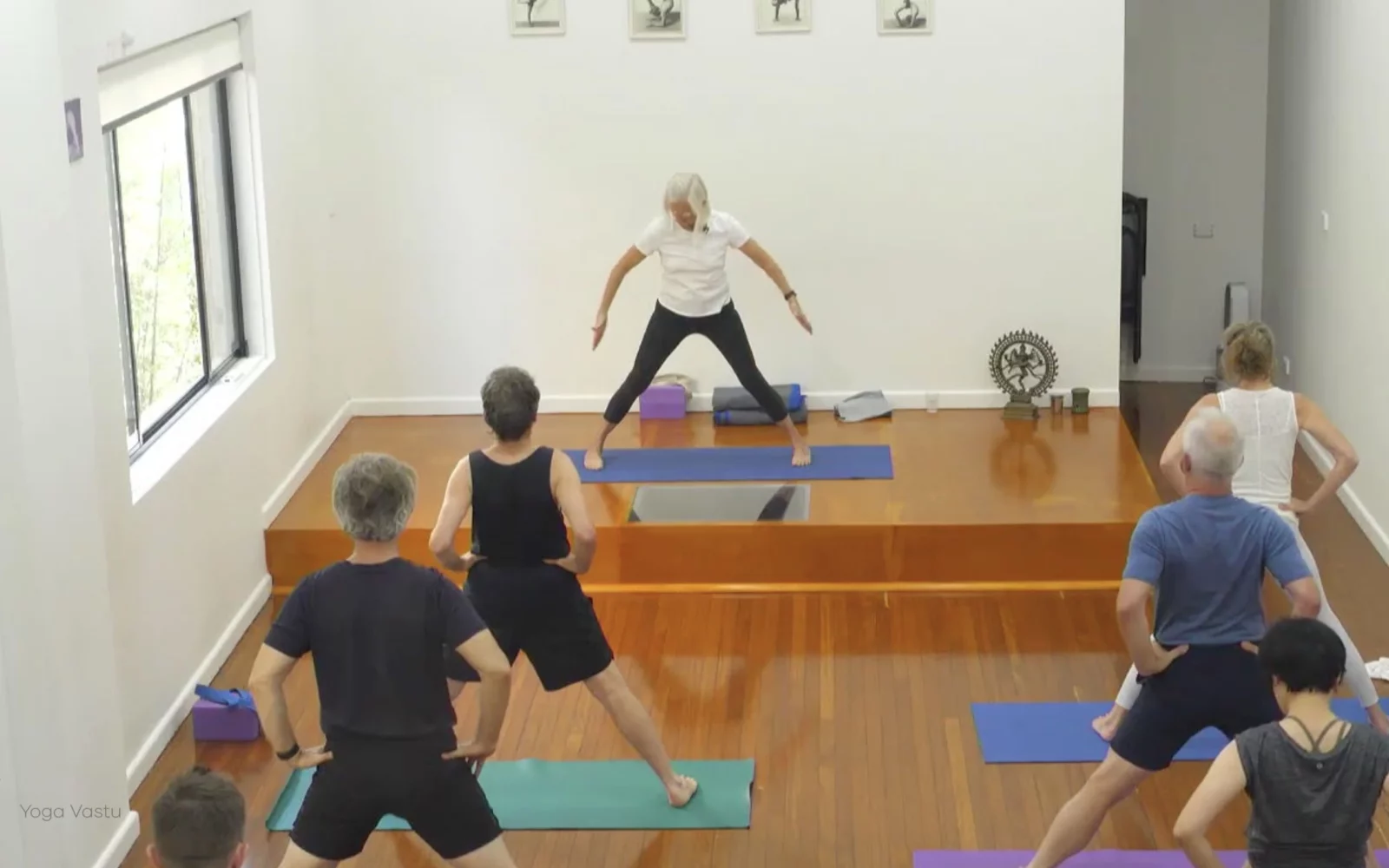 Online Iyengar yoga videos | Class 4: Back to Basics in Standing Poses