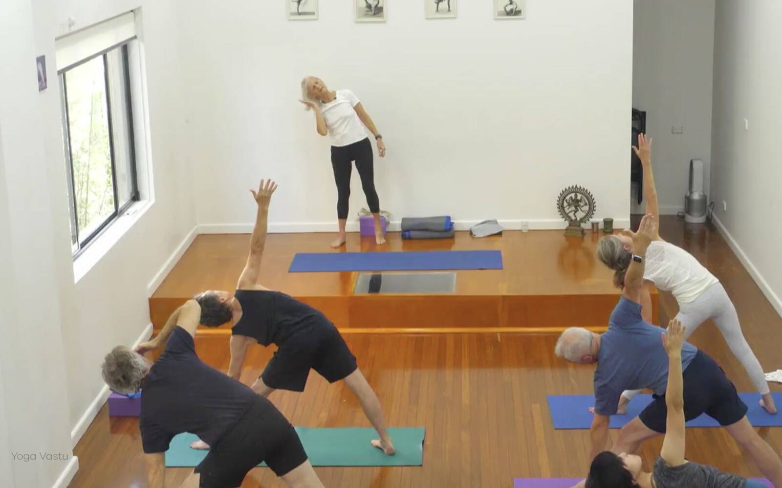 Online Iyengar yoga videos | Class 4: Back to Basics in Standing Poses