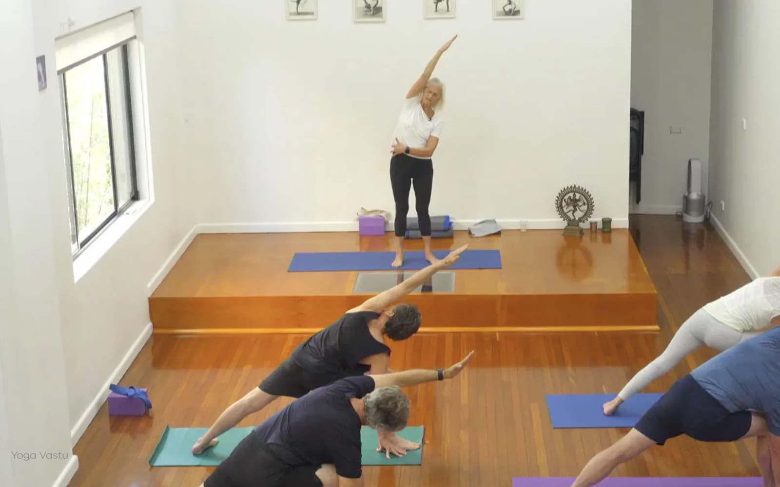 Online Iyengar yoga videos | Class 4: Back to Basics in Standing Poses