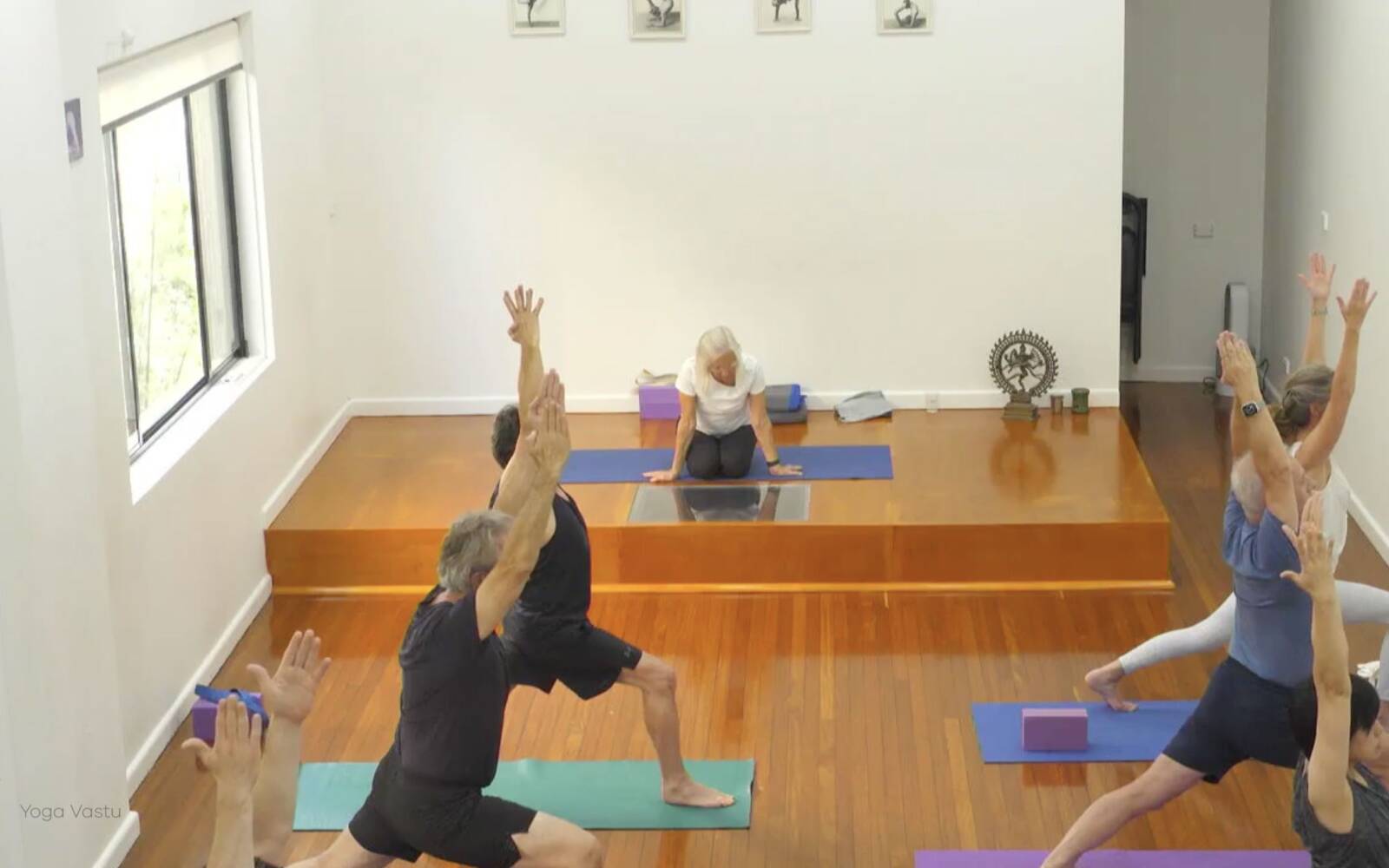 Online Iyengar yoga videos | Class 4: Back to Basics in Standing Poses