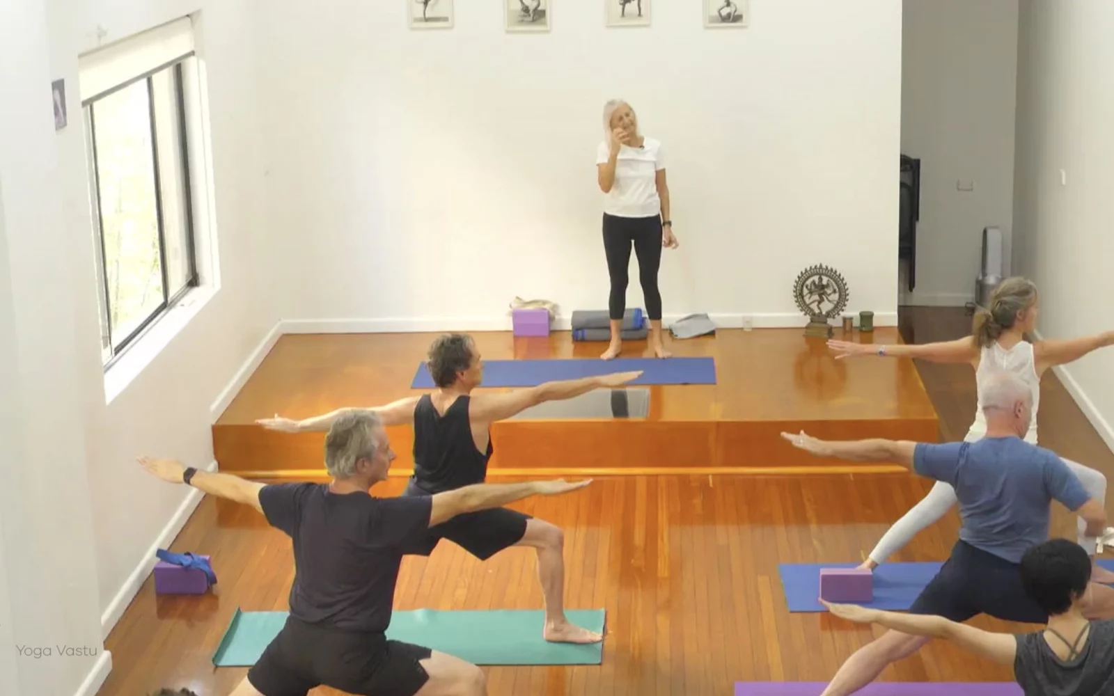 Online Iyengar yoga videos | Class 4: Back to Basics in Standing Poses
